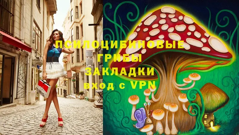 наркошоп  Галич  Галлюциногенные грибы MAGIC MUSHROOMS 